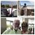 SueAnn Edwards Dixon's profile image