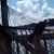 Daniel Parrish's profile image