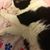 Sheryl Picha Ahrens's profile image