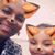 Alisha P. Handy's profile image