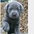 Penny Peil's profile image