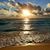 Melinda Messina's profile image