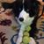Paul N Cindi Cox's profile image