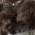Geri Van Dale Alper's profile image