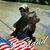 Marcus Harshman's profile image