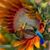 Vicki Craddock's profile image