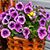 Marsha E. Maier's profile image