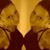 Jane Long's profile image
