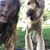 Morgan Bluestein's profile image