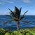 Pamela Brooks's profile image