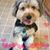 Jen Logsdon Schroeder's profile image