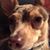 Karen Coskrey's profile image