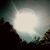 Susan Renfro's profile image