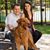 Claire Zincone Smith's profile image