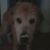 Timothy Gilmore's profile image