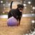Debbie Bram's profile image