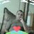 Imtiaz Abbasi's profile image