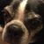 Meena Mehta's profile image