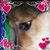 Ophelia M. Payne's profile image