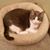 Linda Carlson Jamalkowski's profile image