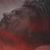 Michelle Hoyt's profile image