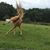 Cristy Shawley's profile image