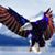 Bill McCune's profile image