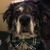 Karen Bakowski's profile image