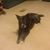 Valerie Clark's profile image