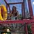 Kristen Mitchell's profile image