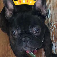 Diane Johnson Smith's profile image