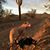 Nancy Heppner's profile image