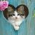 Teale London-Shearer's profile image