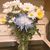 Terri Edmonston's profile image