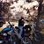Don McIntyre Jr.'s profile image