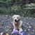 Marylou Caputo's profile image
