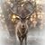 RaeAnn N Brian Brown's profile image