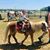 Karen Wilkins Ulsh's profile image