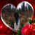 Jean Ferlen Moran's profile image
