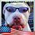 Tony Caglia's profile image