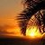 Jillian Ackemann Regan's profile image