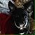 Debra Burke Rushton's profile image