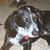 Vicky Swycinsky's profile image