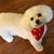 Kathy Easterbrook's profile image