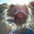Rick Mora's profile image