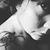 Sandra N Melillo's profile image