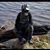 Corey Mohn's profile image