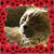 Lilie Welych's profile image