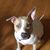 Kim Dougherty's profile image