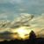 Susan Draper Ligon's profile image